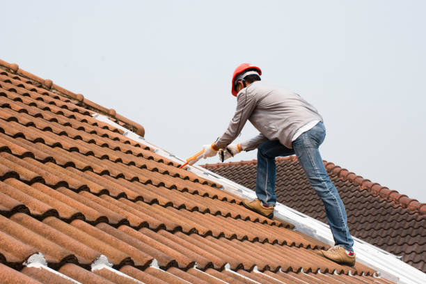 Best Asphalt Shingle Roofing  in North Richland Hills, TX